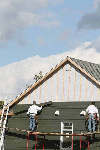 Best Custom Trim and Detailing for Siding  in Dunnavant, AL